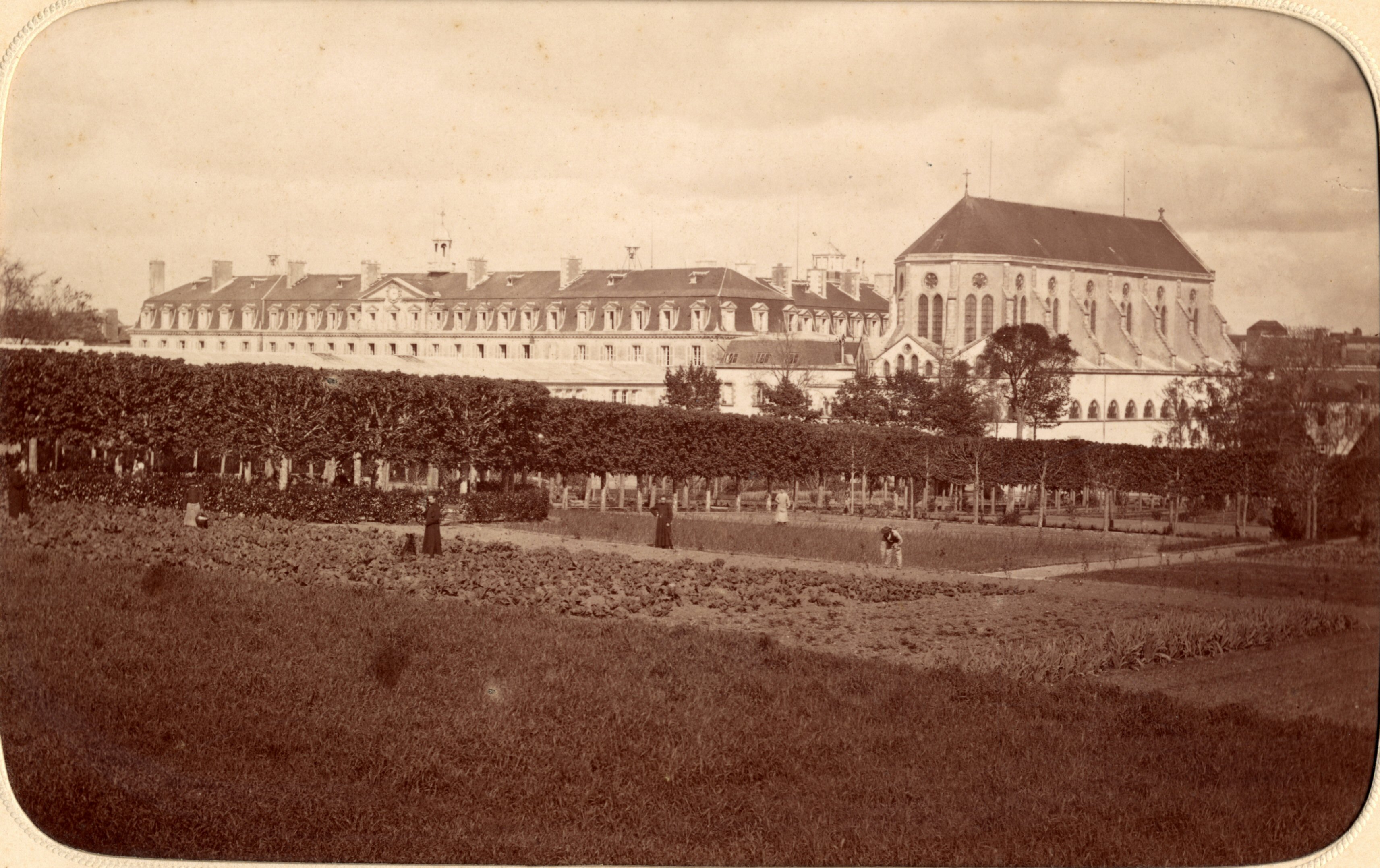 gallery-image