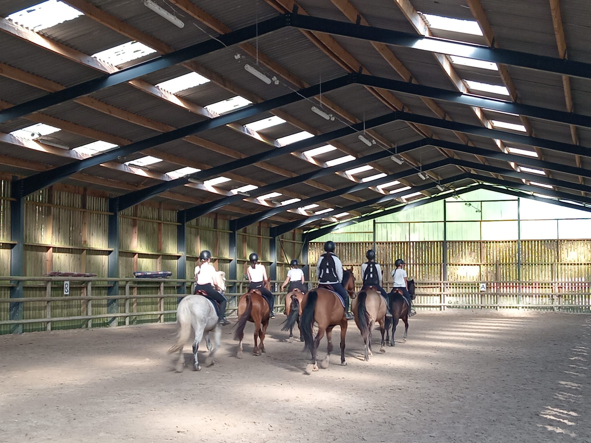 "Horizons en selle" - équipes Equitation