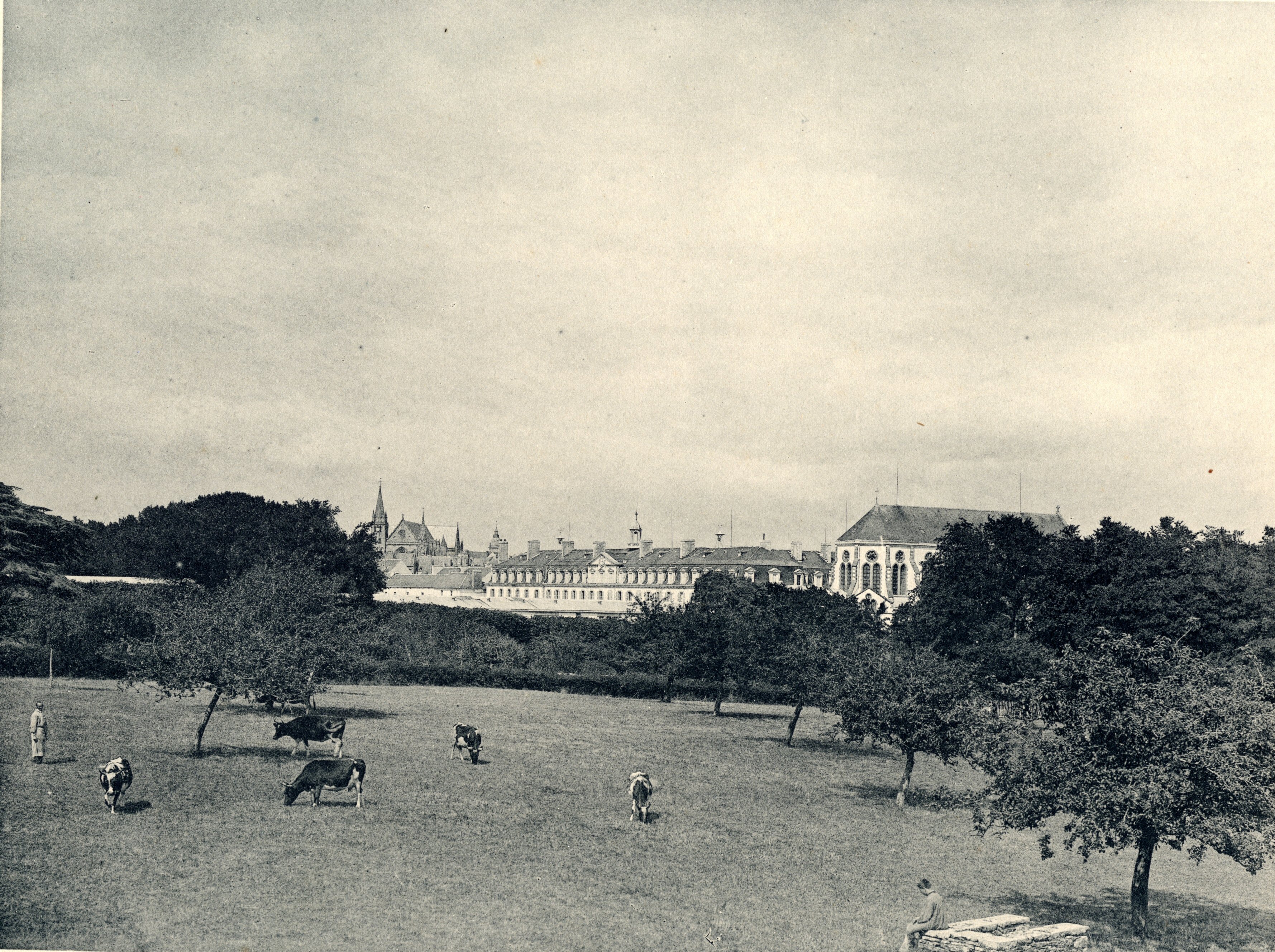 gallery-image